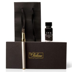 Elegant Fountain Pen Present Set – Consists of Tremendous Nib Fountain Pen with Black Ink – Refillable Ink Set – Excellent Items for Him or Her – Full Pen and Ink Assortment – Gray